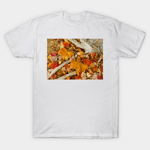 When November Comes 8 T-Shirt by Rodwilliams